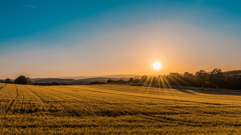 Farme i poljoprivreda
